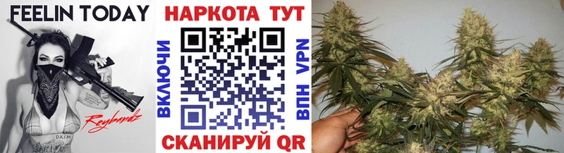Купить Радужный Альфа ПВП 