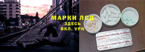 PSILOCYBIN Армянск